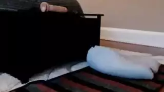 ملكان أسودان يسيطران على عاهرتين مستسلمتين في مثلية جنسية شرجية قاسية