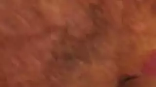 الأيرلندية الأفرو قزمة